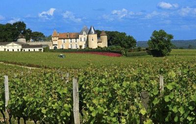 法國葡萄酒莊參觀考察:世界著名的葡萄酒產地